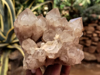 Natural Smokey Phantom Quartz Clusters x 2 From Luena, Congo