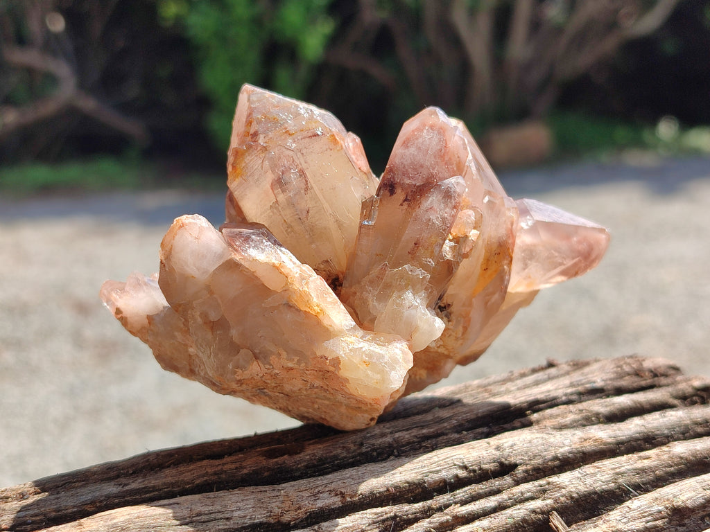 Natural Hematoid Quartz Clusters x 6 From Karoi, Zimbabwe - Toprock Gemstones and Minerals 