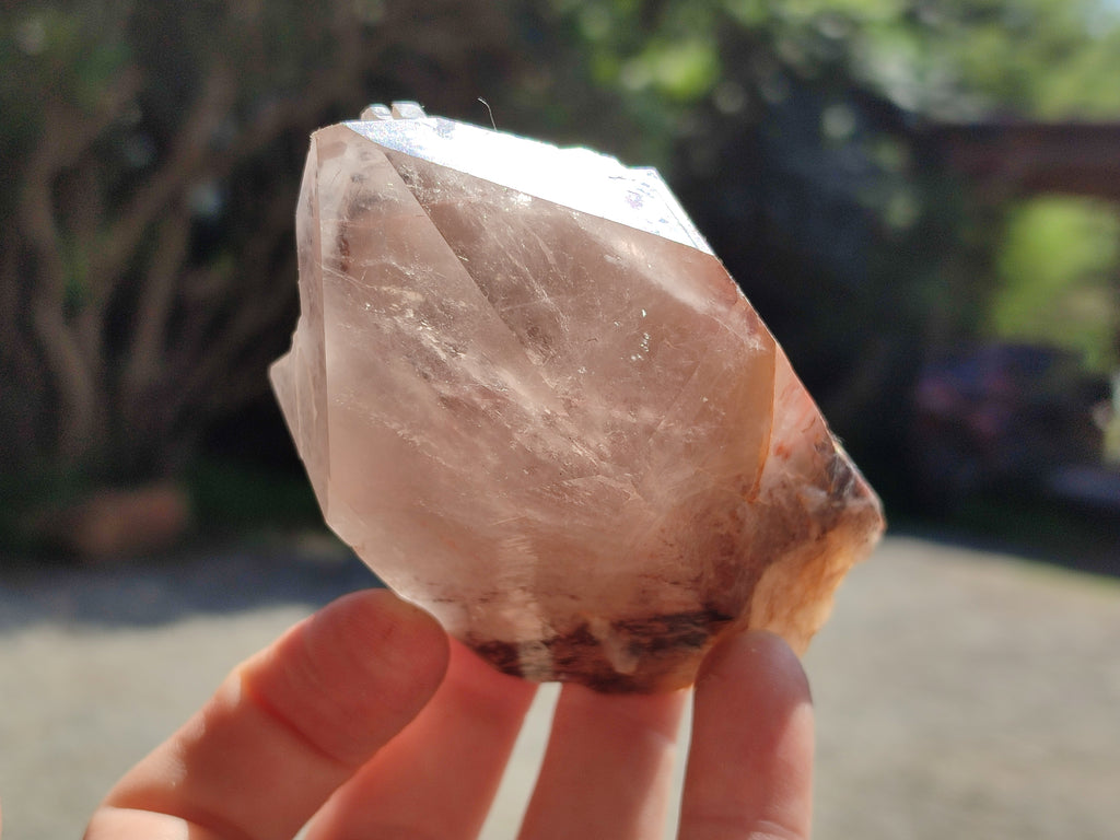 Natural Hematoid Quartz Clusters x 6 From Karoi, Zimbabwe - Toprock Gemstones and Minerals 