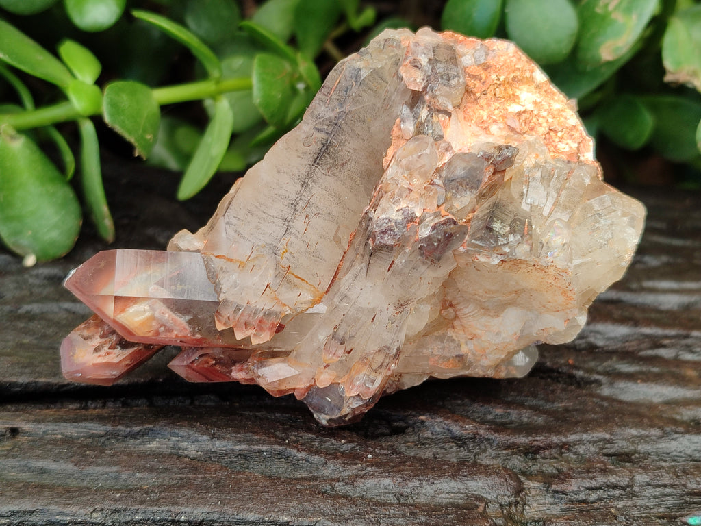 Natural Hematoid Quartz Clusters x 6 From Karoi, Zimbabwe - Toprock Gemstones and Minerals 