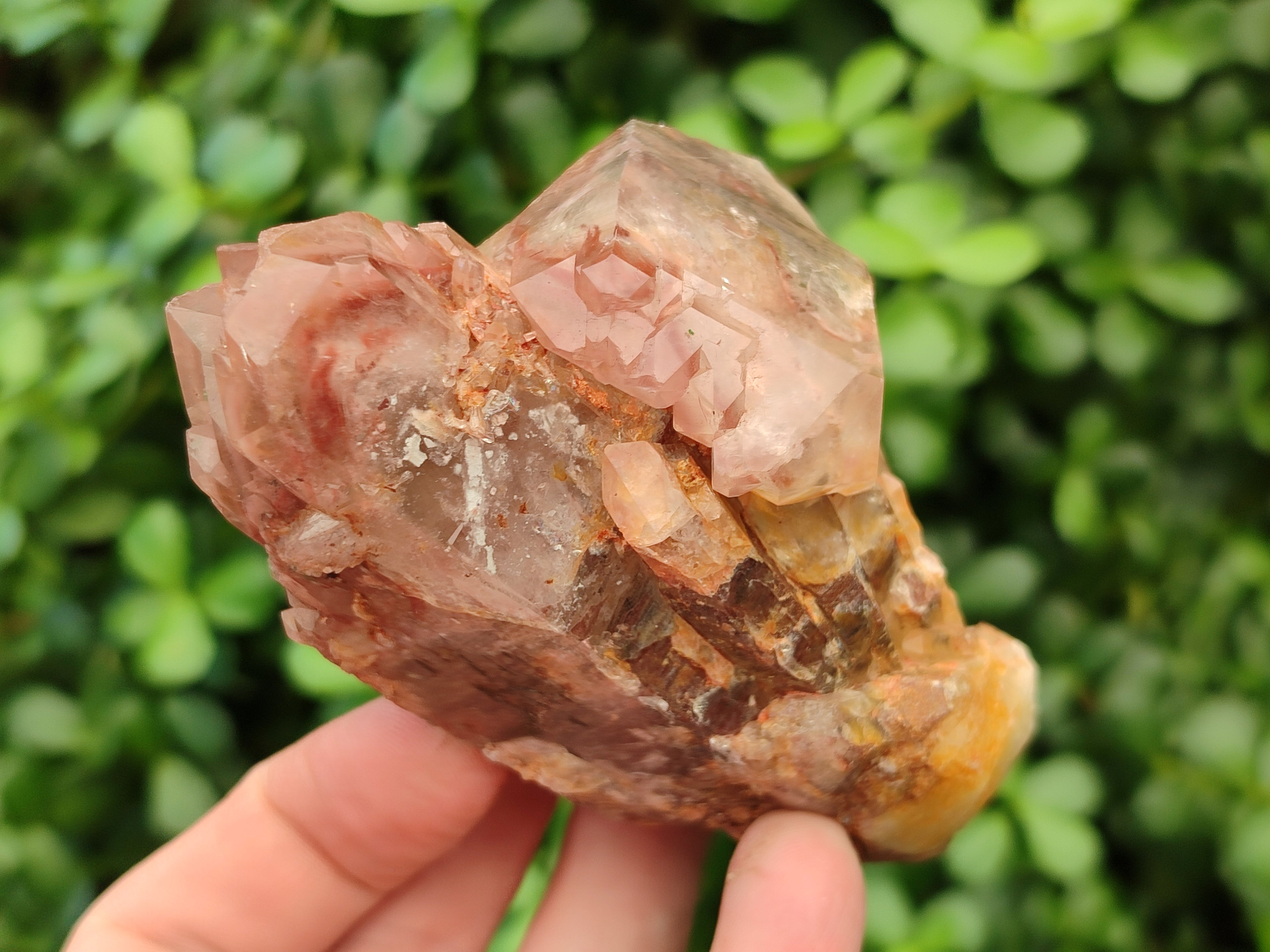 Natural Hematoid Quartz Clusters x 6 From Karoi, Zimbabwe - Toprock Gemstones and Minerals 