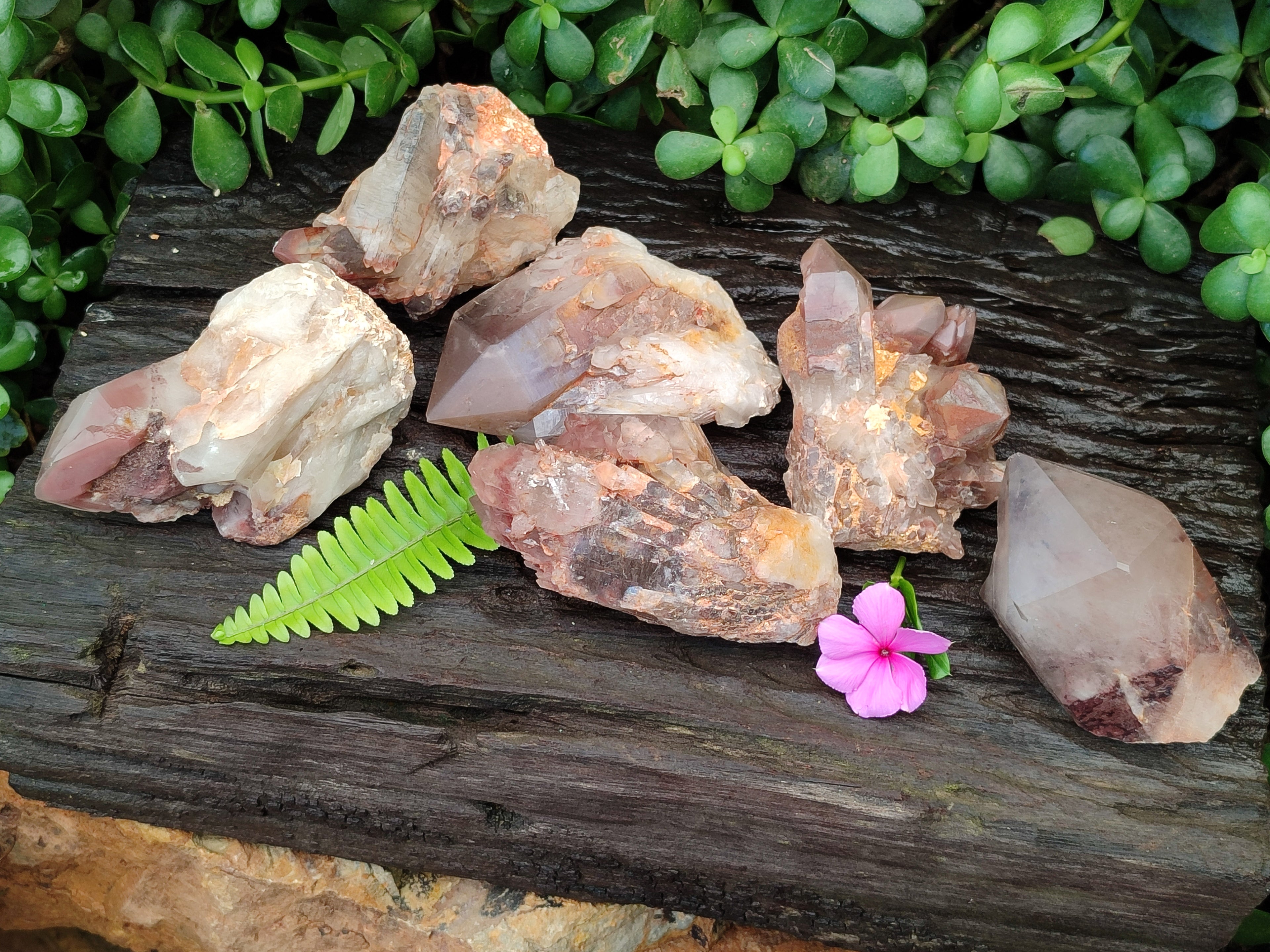 Natural Hematoid Quartz Clusters x 6 From Karoi, Zimbabwe - Toprock Gemstones and Minerals 