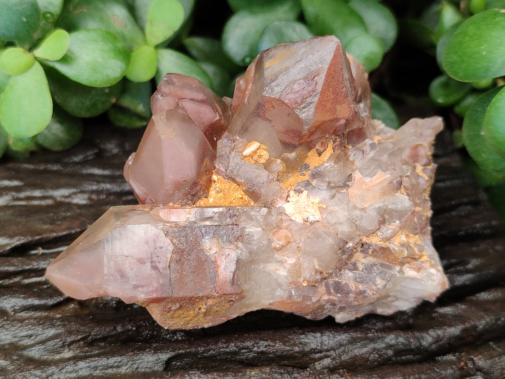 Natural Hematoid Quartz Clusters x 6 From Karoi, Zimbabwe - Toprock Gemstones and Minerals 