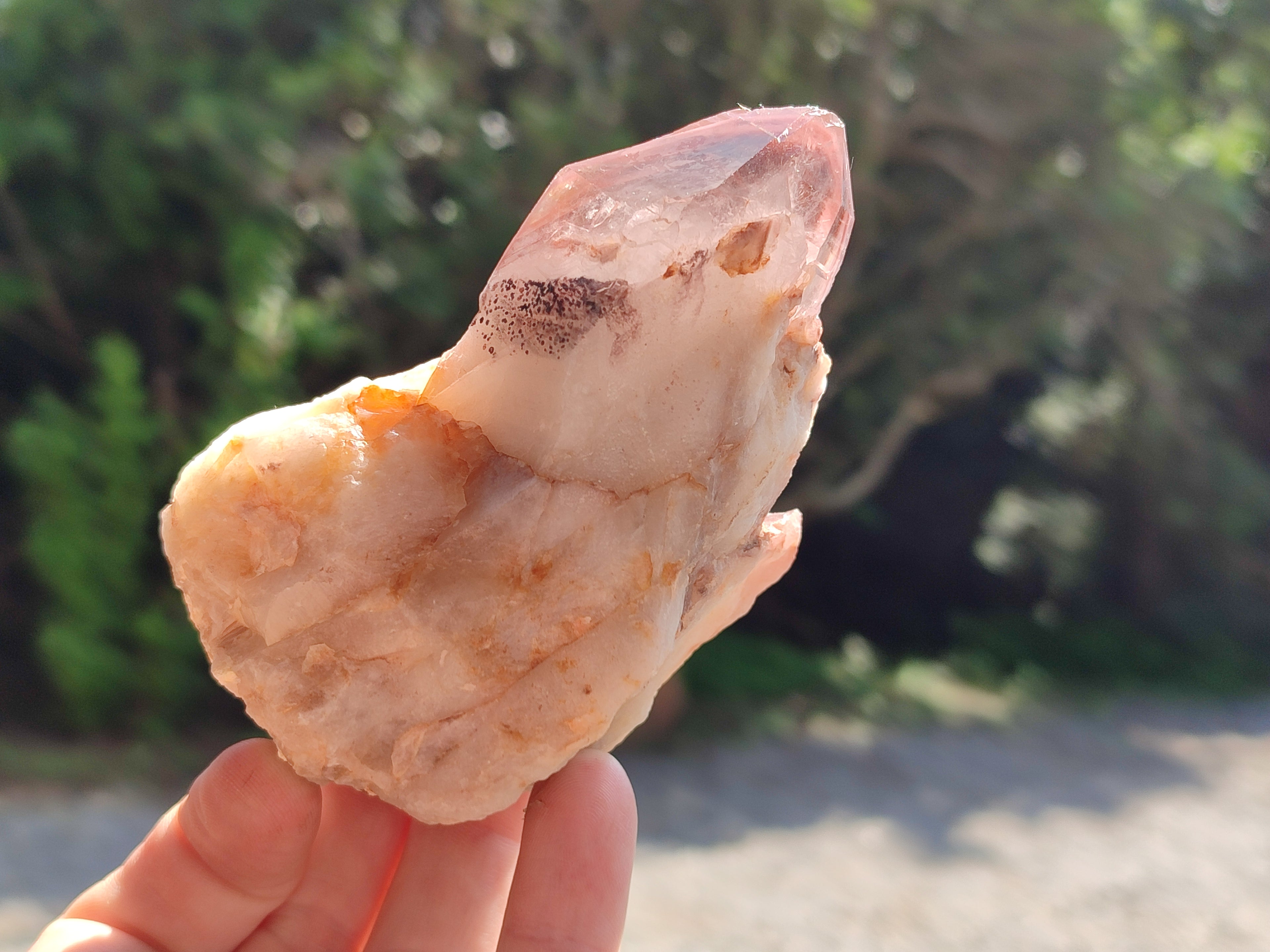 Natural Hematoid Quartz Clusters x 6 From Karoi, Zimbabwe - Toprock Gemstones and Minerals 