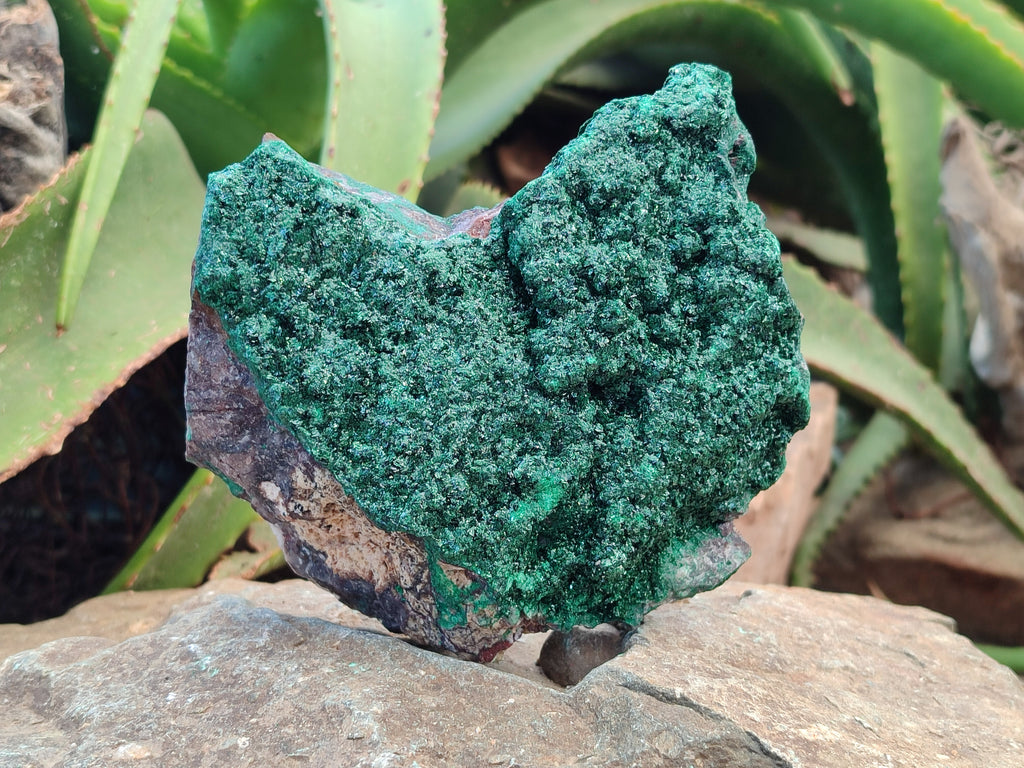 Natural Crystalline Malachite Specimens x 3 From Congo - Toprock Gemstones and Minerals 