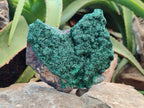 Natural Crystalline Malachite Specimens x 3 From Congo - Toprock Gemstones and Minerals 