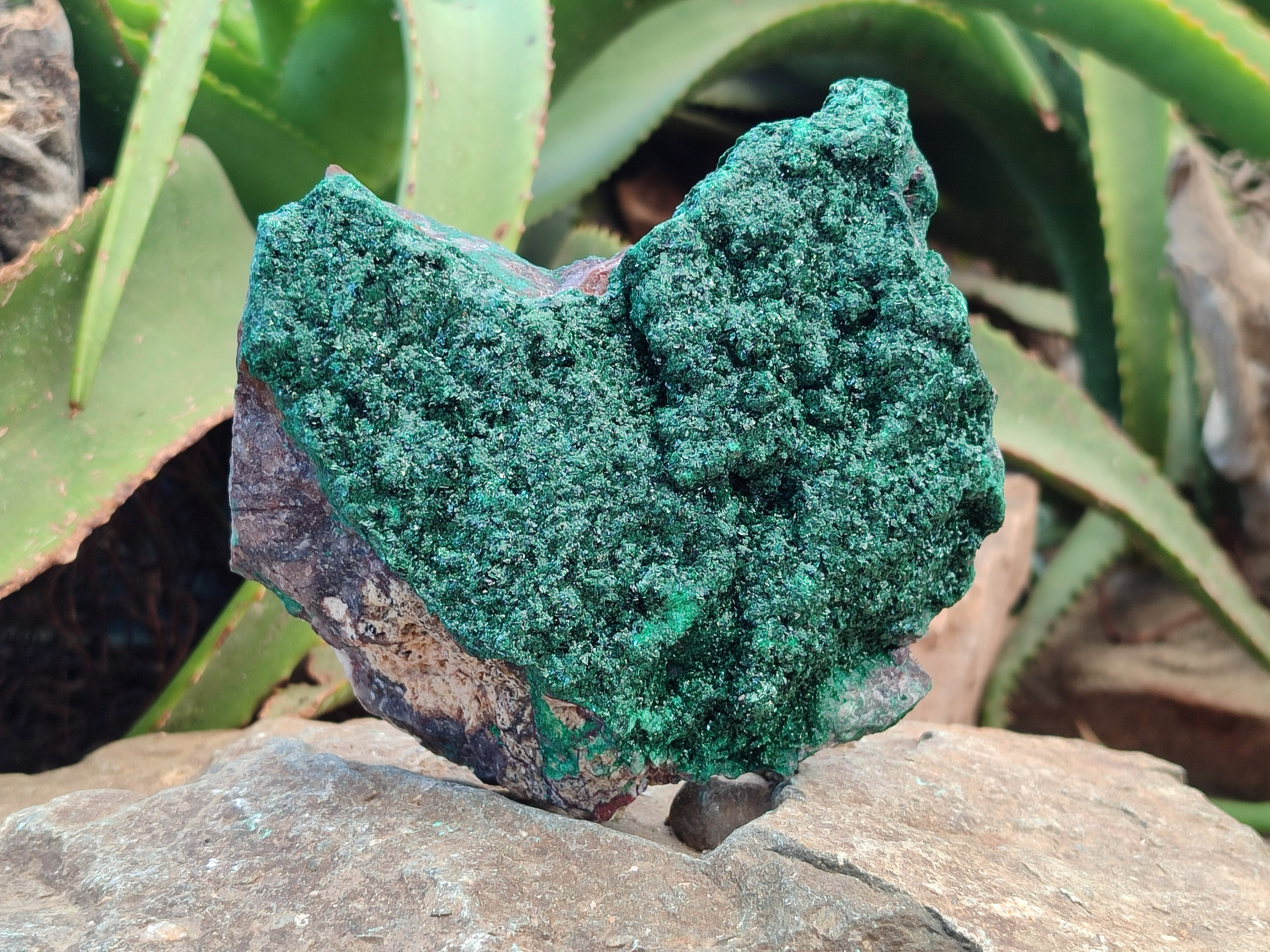 Natural Crystalline Malachite Specimens x 3 From Congo - Toprock Gemstones and Minerals 