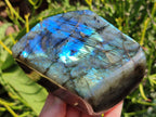 Polished Labradorite Standing Free Forms x 2 From Tulear, Madagascar - Toprock Gemstones and Minerals 