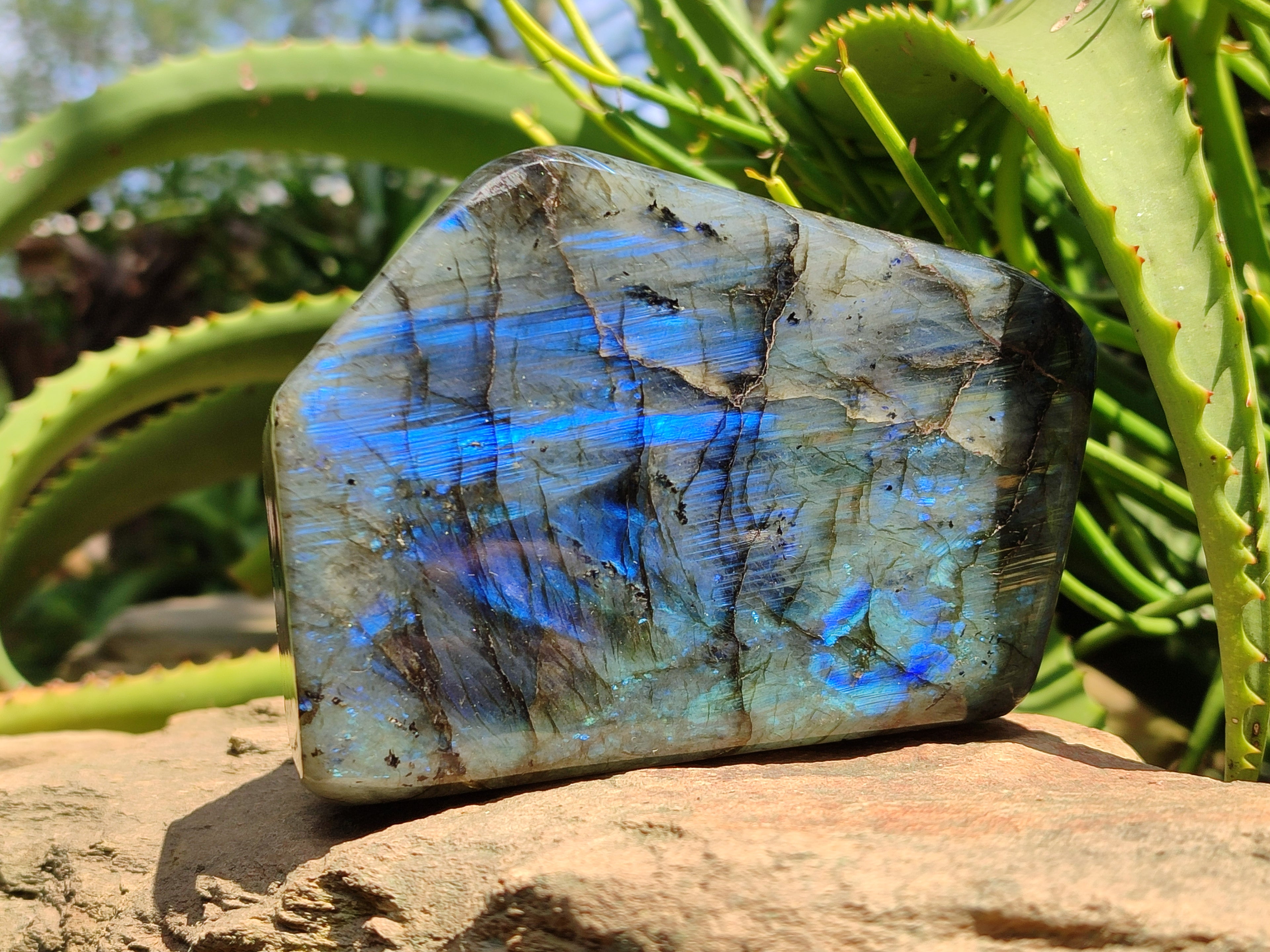 Polished Labradorite Standing Free Forms x 2 From Tulear, Madagascar - Toprock Gemstones and Minerals 