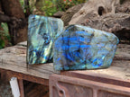 Polished Labradorite Standing Free Forms x 2 From Tulear, Madagascar - Toprock Gemstones and Minerals 