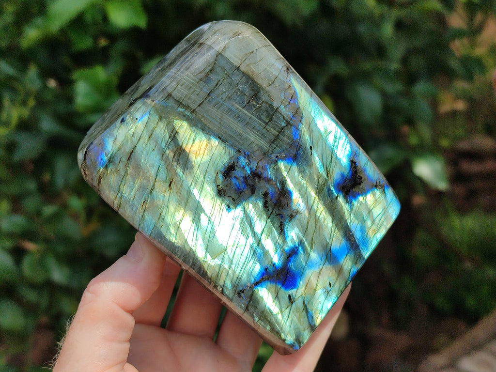 Polished Labradorite Standing Free Forms x 2 From Tulear, Madagascar - Toprock Gemstones and Minerals 
