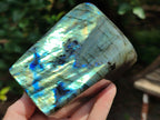 Polished Labradorite Standing Free Forms x 2 From Tulear, Madagascar - Toprock Gemstones and Minerals 