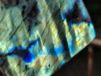 Polished Labradorite Standing Free Forms x 2 From Tulear, Madagascar - Toprock Gemstones and Minerals 