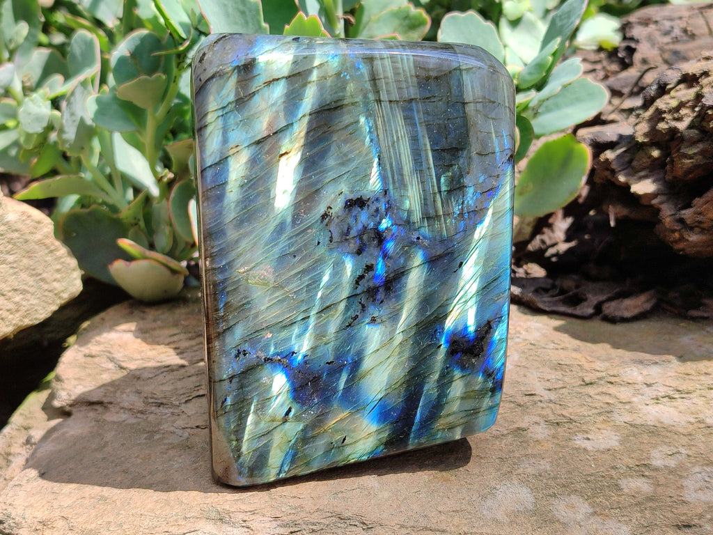 Polished Labradorite Standing Free Forms x 2 From Tulear, Madagascar - Toprock Gemstones and Minerals 