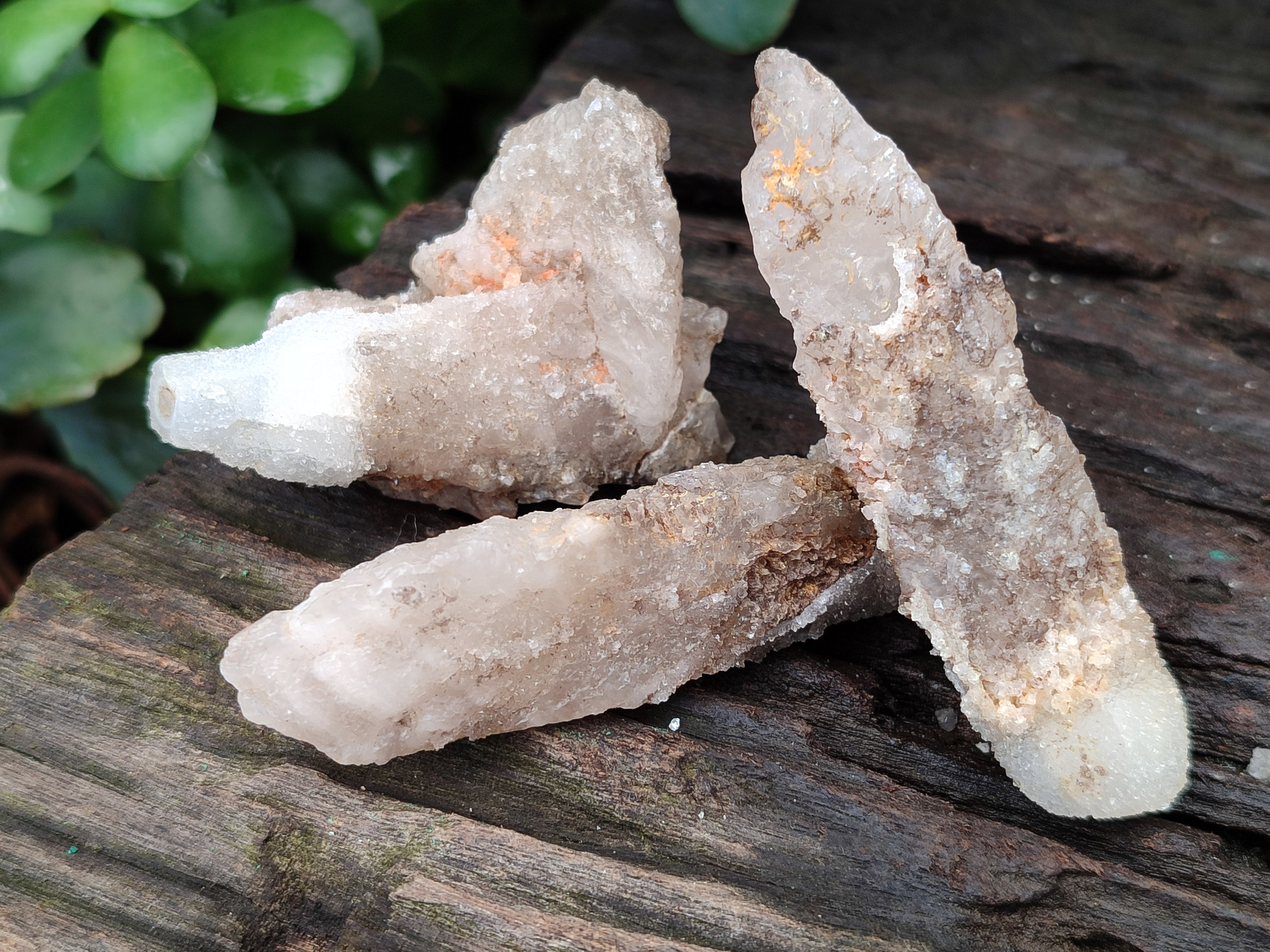 Natural Drusy Quartz Coated Calcite Pseudomorph Specimens x 20 From Alberts Mountain, Lesotho - Toprock Gemstones and Minerals 