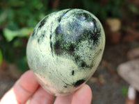 Polished Leopard Stone Free Forms x 6 From Zimbabwe