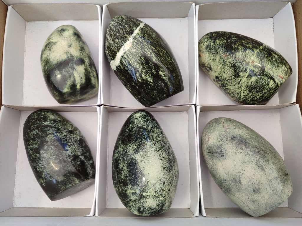 Polished Leopard Stone Standing Free Forms x 6 From Zimbabwe - Toprock Gemstones and Minerals 