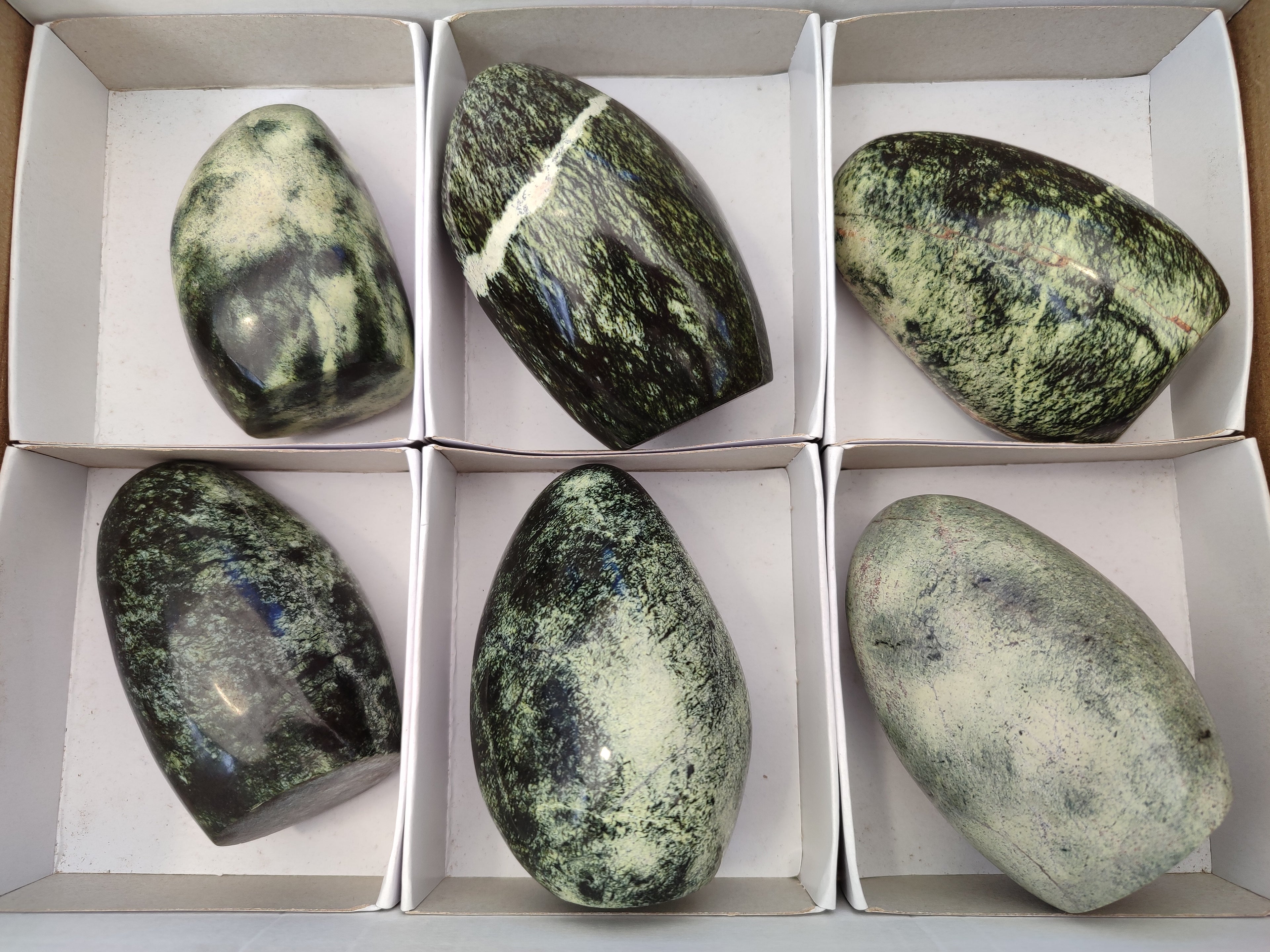 Polished Leopard Stone Standing Free Forms x 6 From Zimbabwe - Toprock Gemstones and Minerals 
