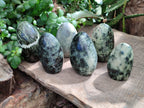 Polished Leopard Stone Standing Free Forms x 6 From Zimbabwe - Toprock Gemstones and Minerals 