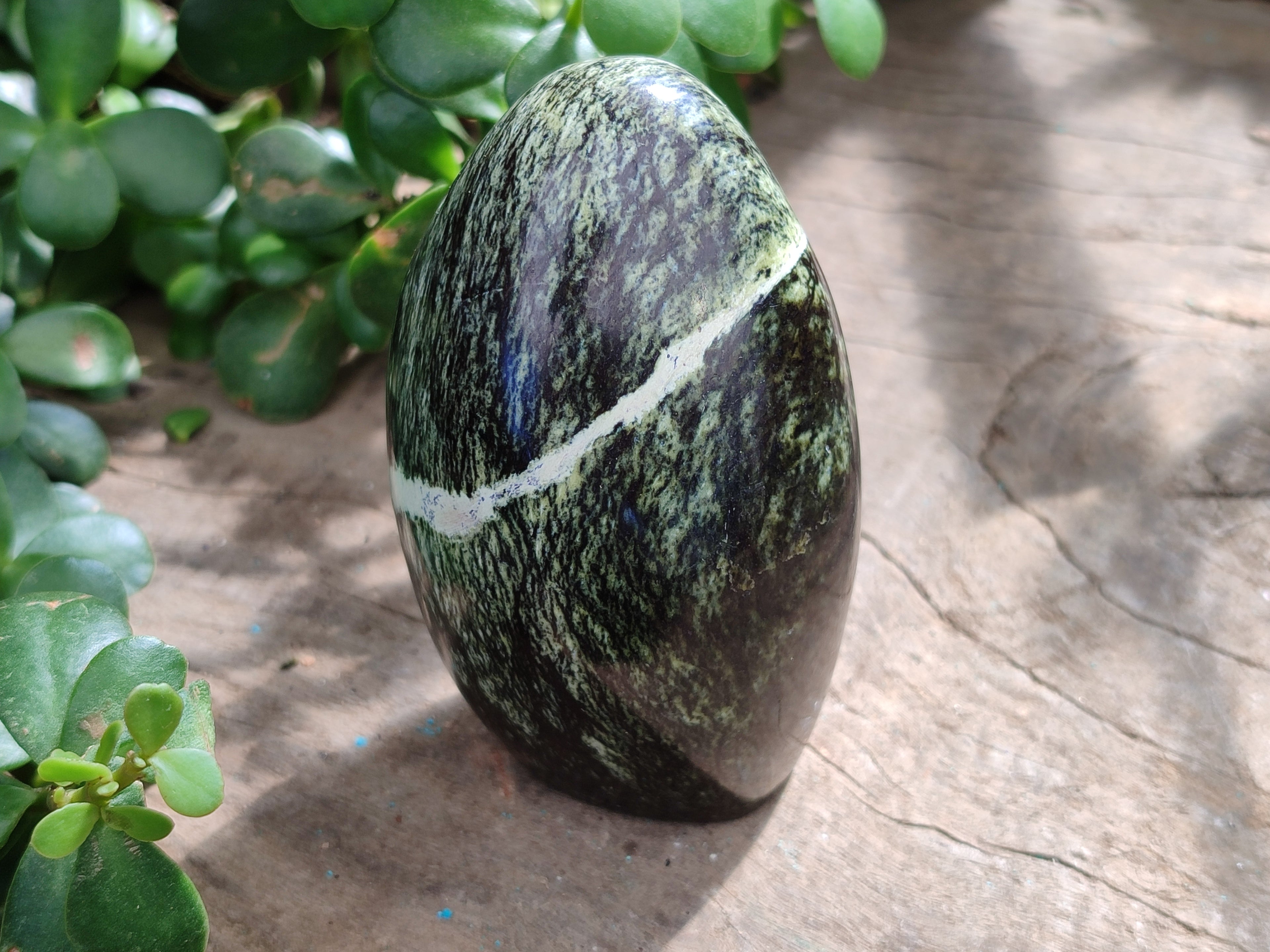 Polished Leopard Stone Standing Free Forms x 6 From Zimbabwe - Toprock Gemstones and Minerals 