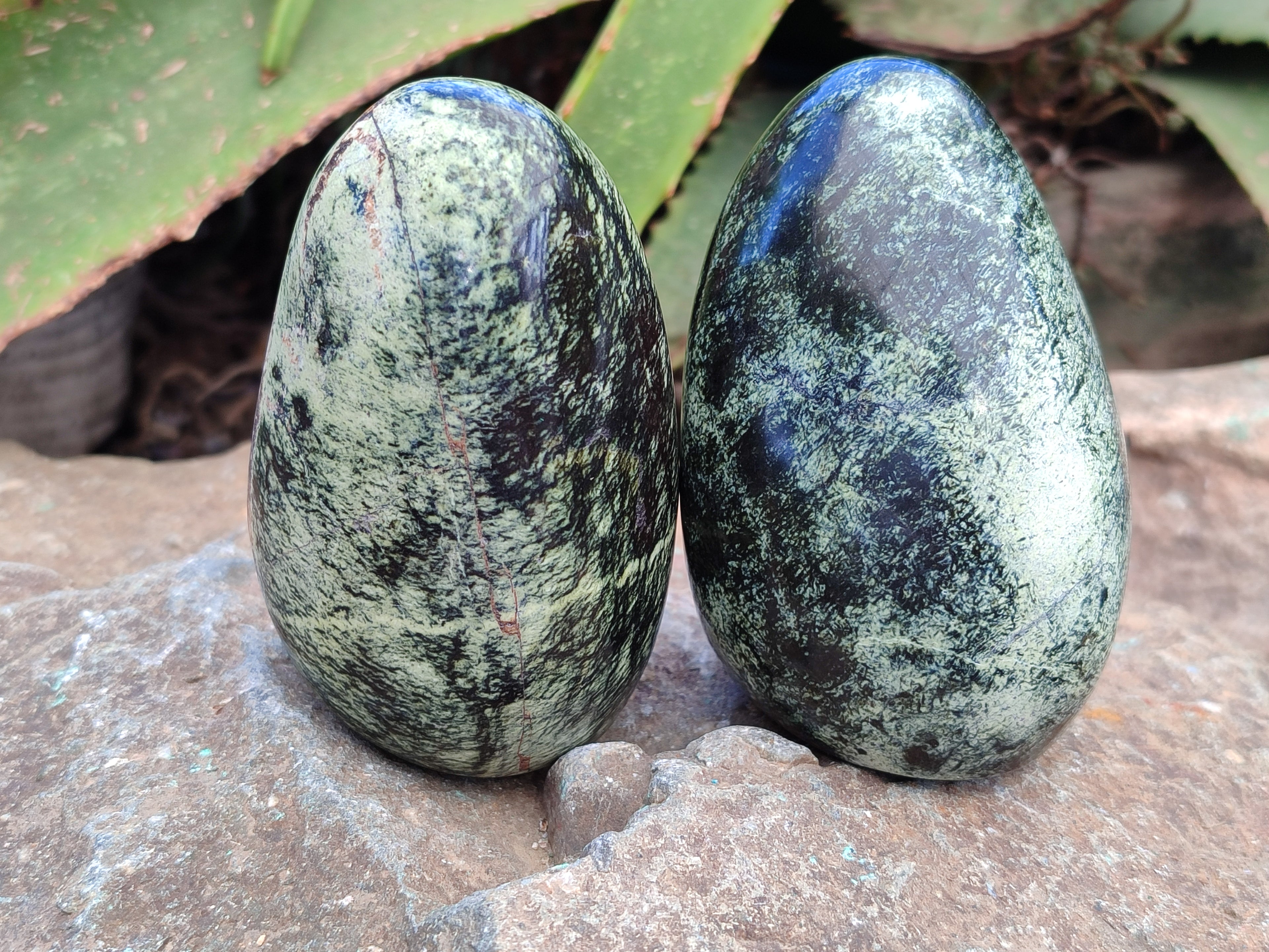 Polished Leopard Stone Standing Free Forms x 6 From Zimbabwe - Toprock Gemstones and Minerals 