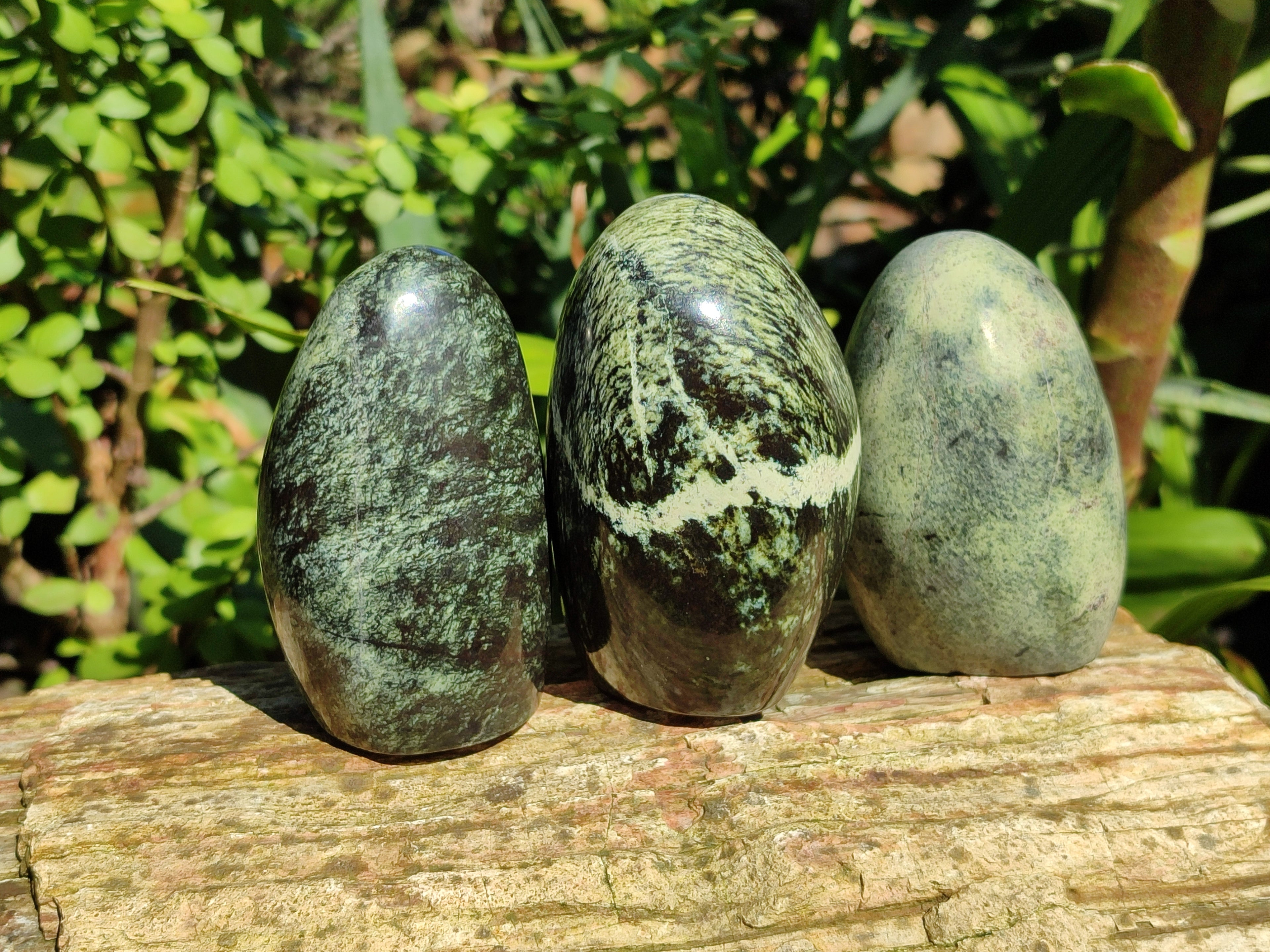 Polished Leopard Stone Standing Free Forms x 6 From Zimbabwe - Toprock Gemstones and Minerals 