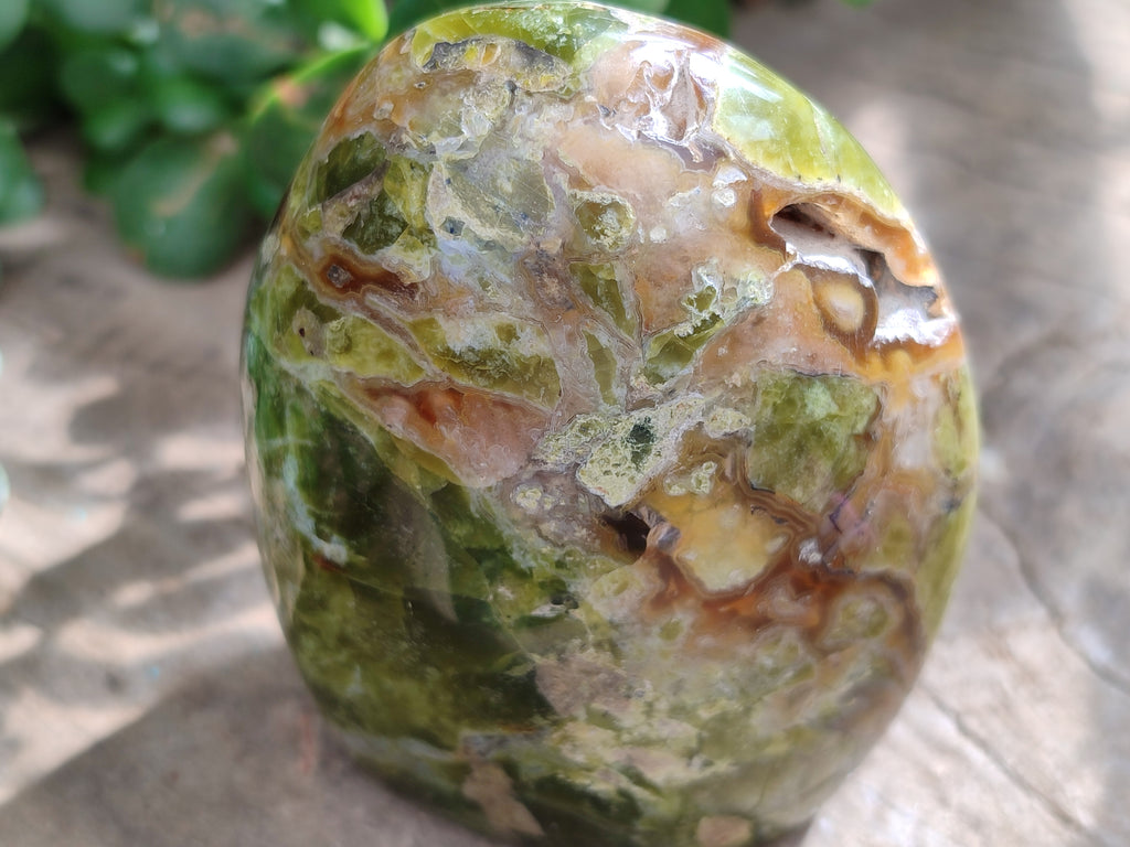 Polished Green Opal Standing Free Forms x 3 From Antsirabe, Madagascar - Toprock Gemstones and Minerals 