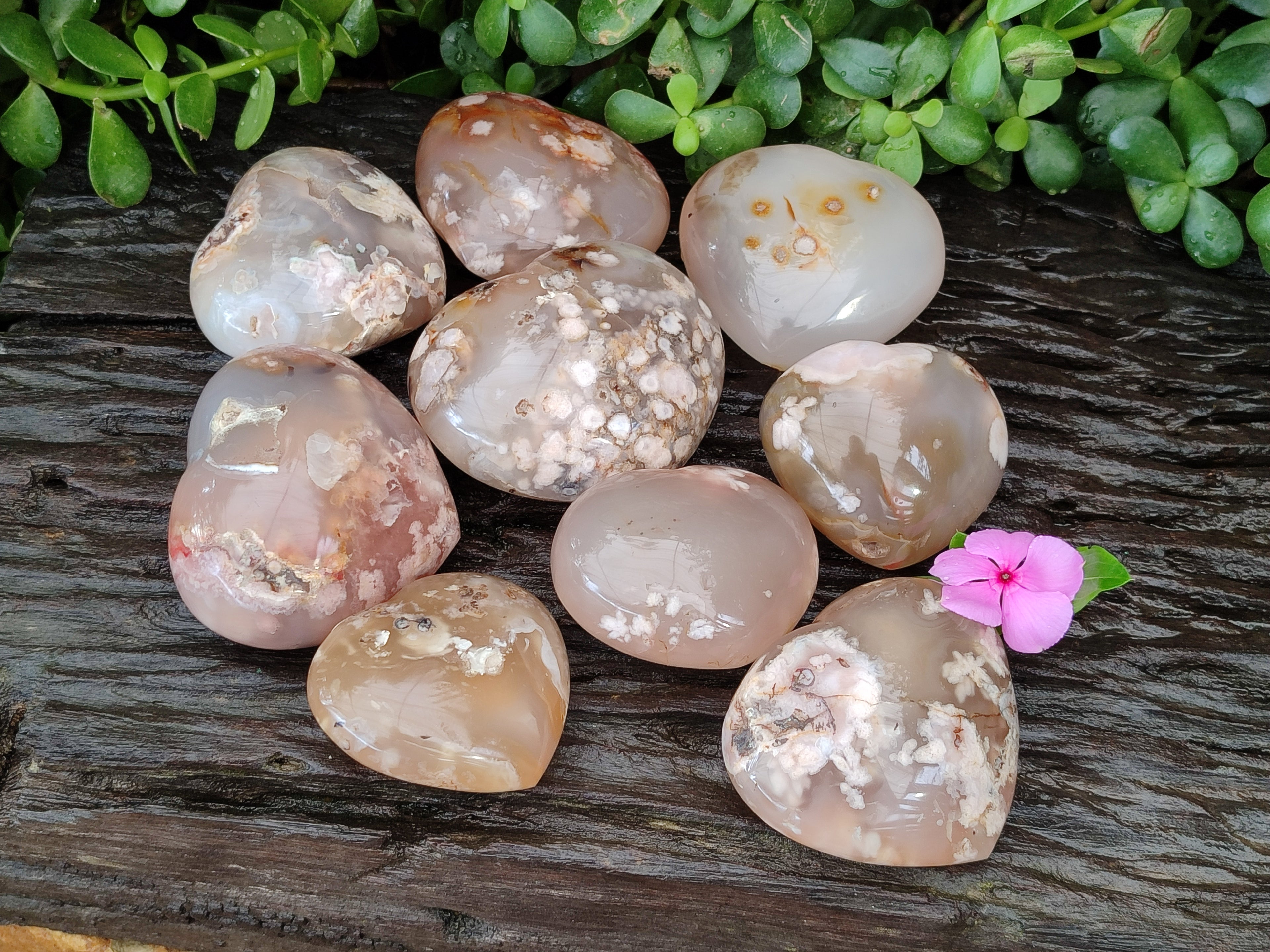 Polished Flower Agate Hearts x 12 From Antsahalova, Madagascar - Toprock Gemstones and Minerals 