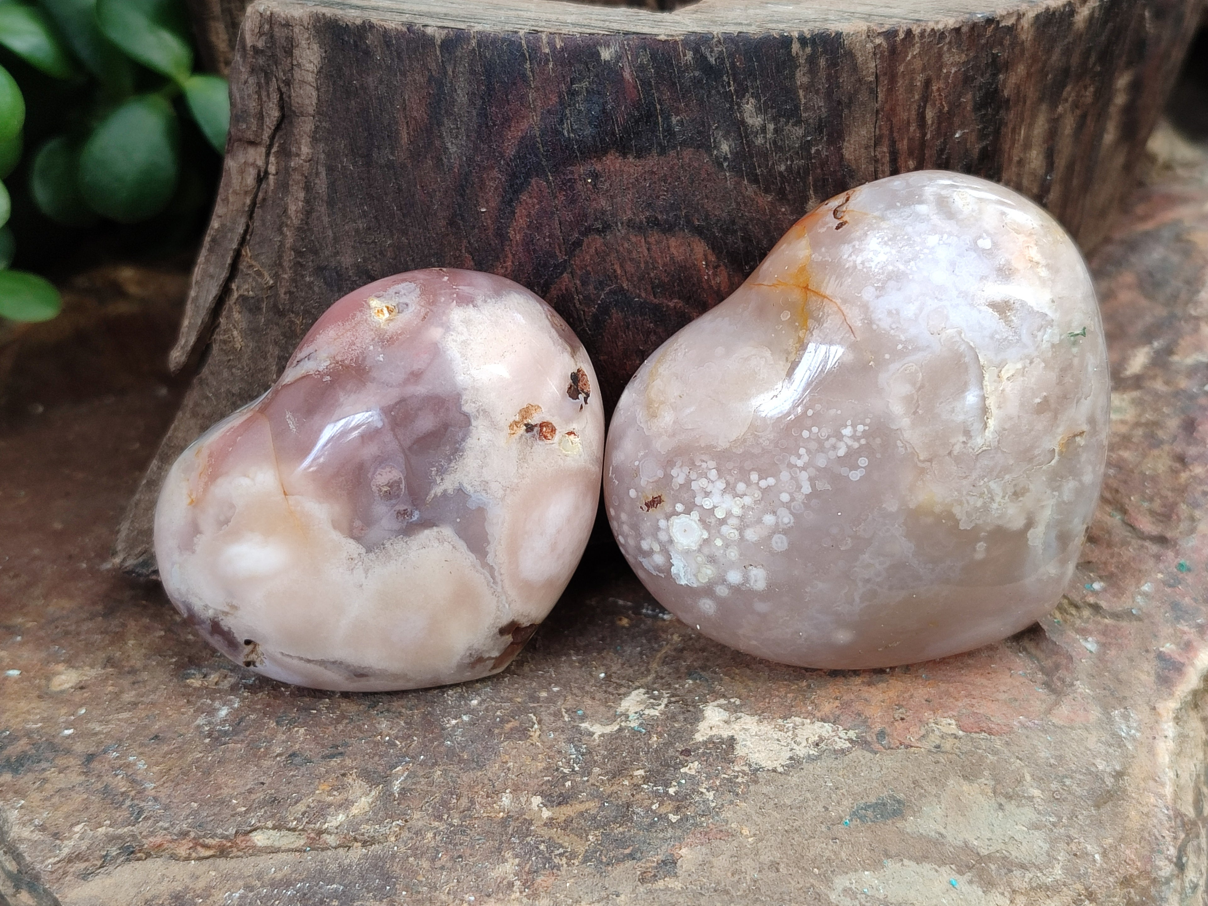 Polished Flower Agate Hearts x 12 From Antsahalova, Madagascar - Toprock Gemstones and Minerals 