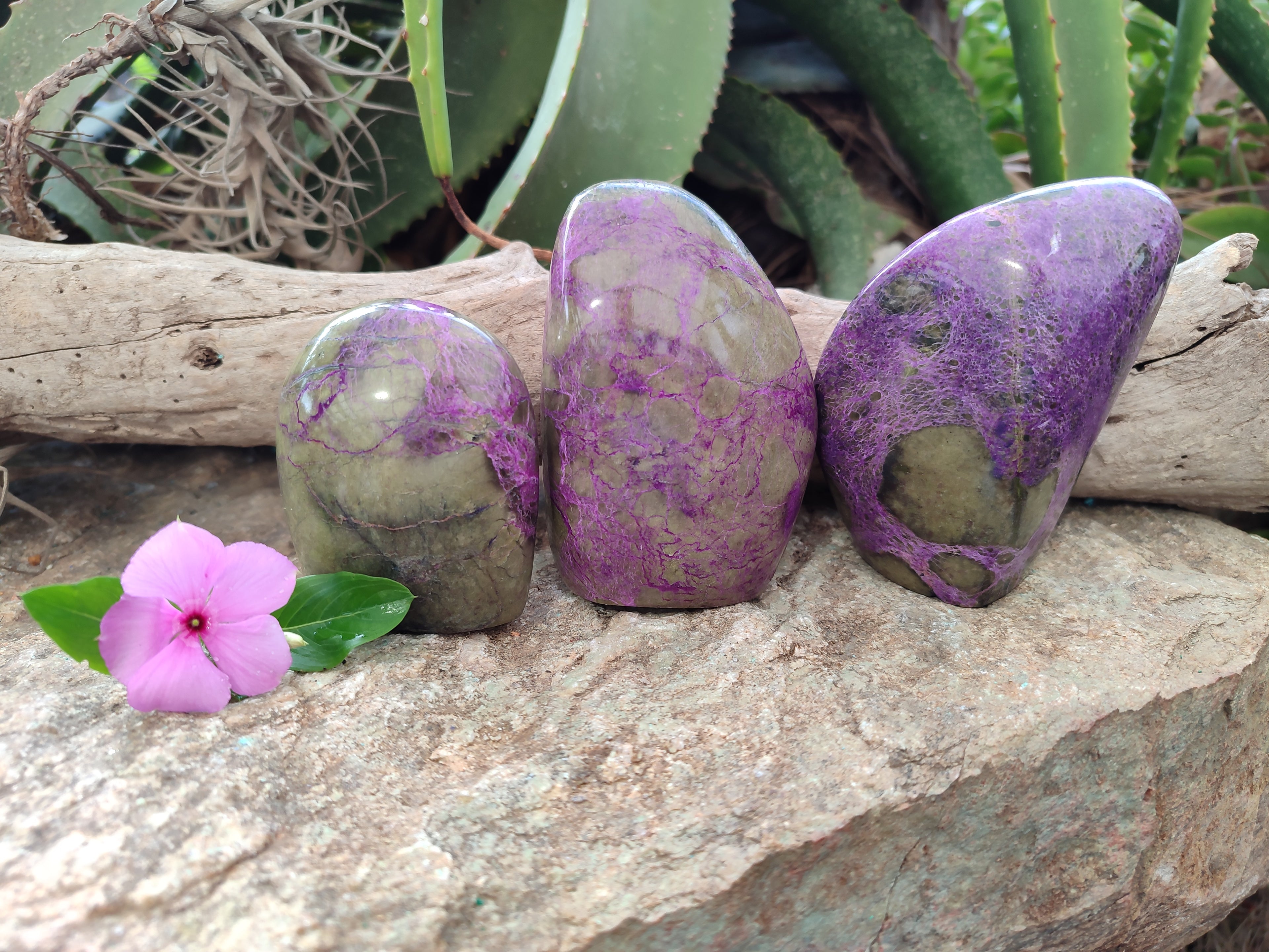 Polished Stichtite Standing Free Forms x 3 From Barberton, South Africa - Toprock Gemstones and Minerals 