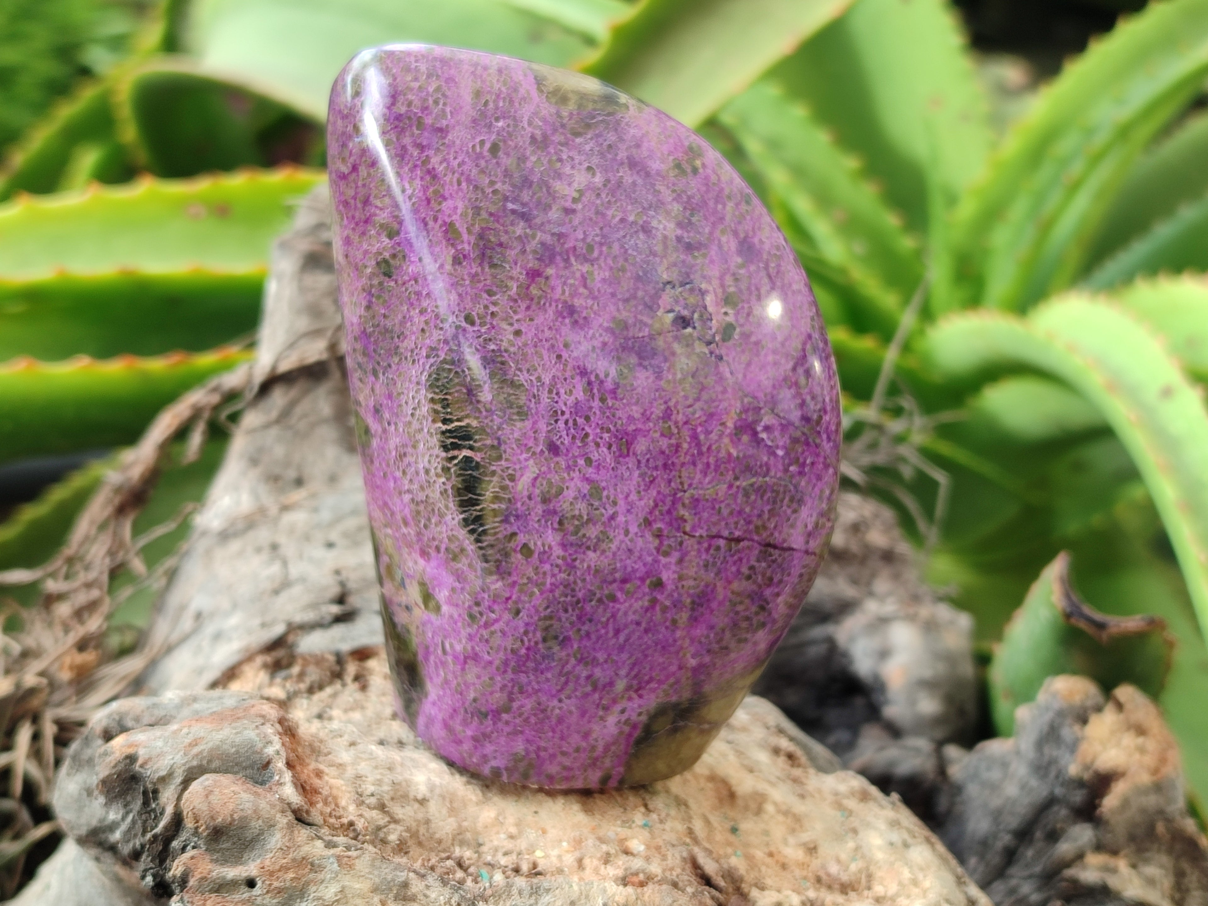 Polished Stichtite Standing Free Forms x 3 From Barberton, South Africa - Toprock Gemstones and Minerals 