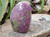 Polished Stichtite Standing Free Forms x 3 From Barberton, South Africa - Toprock Gemstones and Minerals 