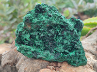 Natural Silky Malachite Specimens x 6 From Kasompe, Congo - Toprock Gemstones and Minerals 