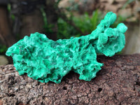 Natural Silky Malachite Specimens x 6 From Kasompe, Congo - Toprock Gemstones and Minerals 