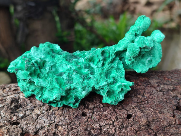 Natural Silky Malachite Specimens x 6 From Kasompe, Congo - Toprock Gemstones and Minerals 