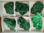 Natural Silky Malachite Specimens x 6 From Kasompe, Congo - Toprock Gemstones and Minerals 