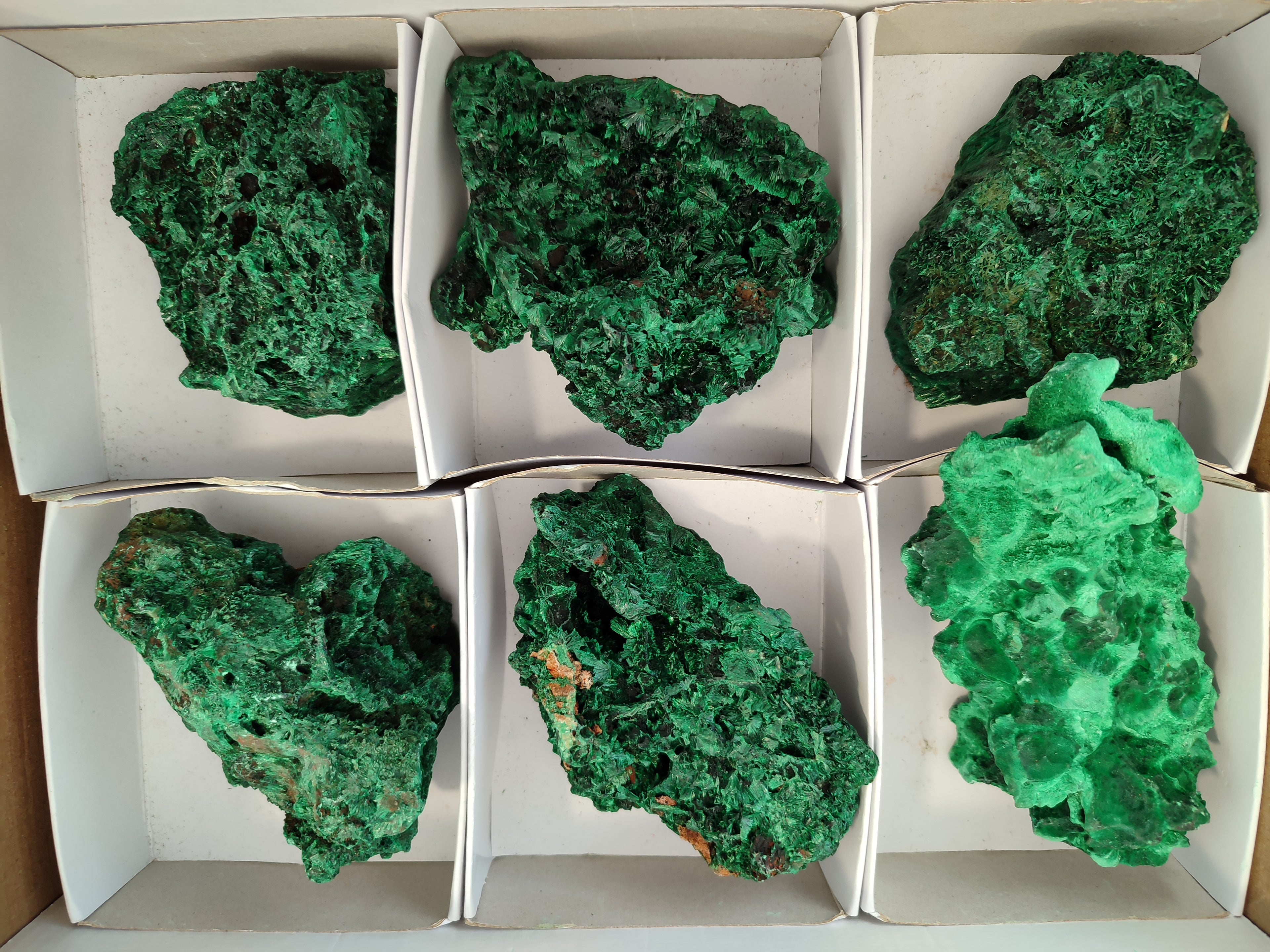 Natural Silky Malachite Specimens x 6 From Kasompe, Congo - Toprock Gemstones and Minerals 