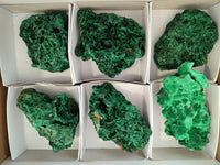 Natural Silky Malachite Specimens x 6 From Kasompe, Congo - Toprock Gemstones and Minerals 