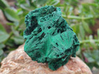 Natural Silky Malachite Specimens x 6 From Kasompe, Congo - Toprock Gemstones and Minerals 