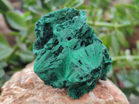 Natural Silky Malachite Specimens x 6 From Kasompe, Congo - Toprock Gemstones and Minerals 