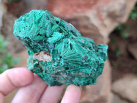 Natural Silky Malachite Specimens x 6 From Kasompe, Congo - Toprock Gemstones and Minerals 