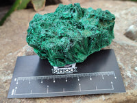 Natural Silky Malachite Specimens x 6 From Kasompe, Congo - Toprock Gemstones and Minerals 