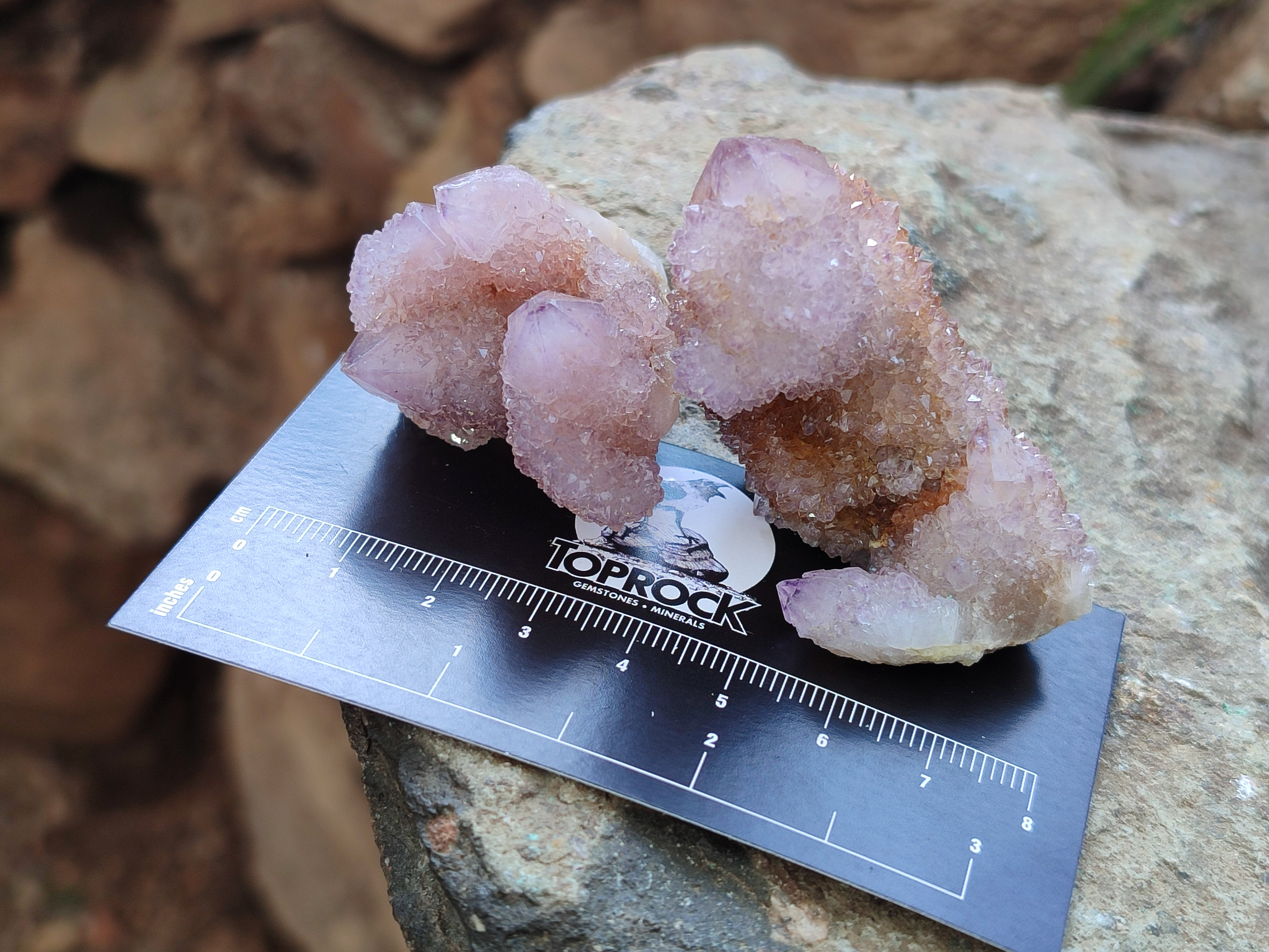 Natural Ametrine Spirit Quartz Crystals x 35 From Boekenhouthoek, South Africa - Toprock Gemstones and Minerals 