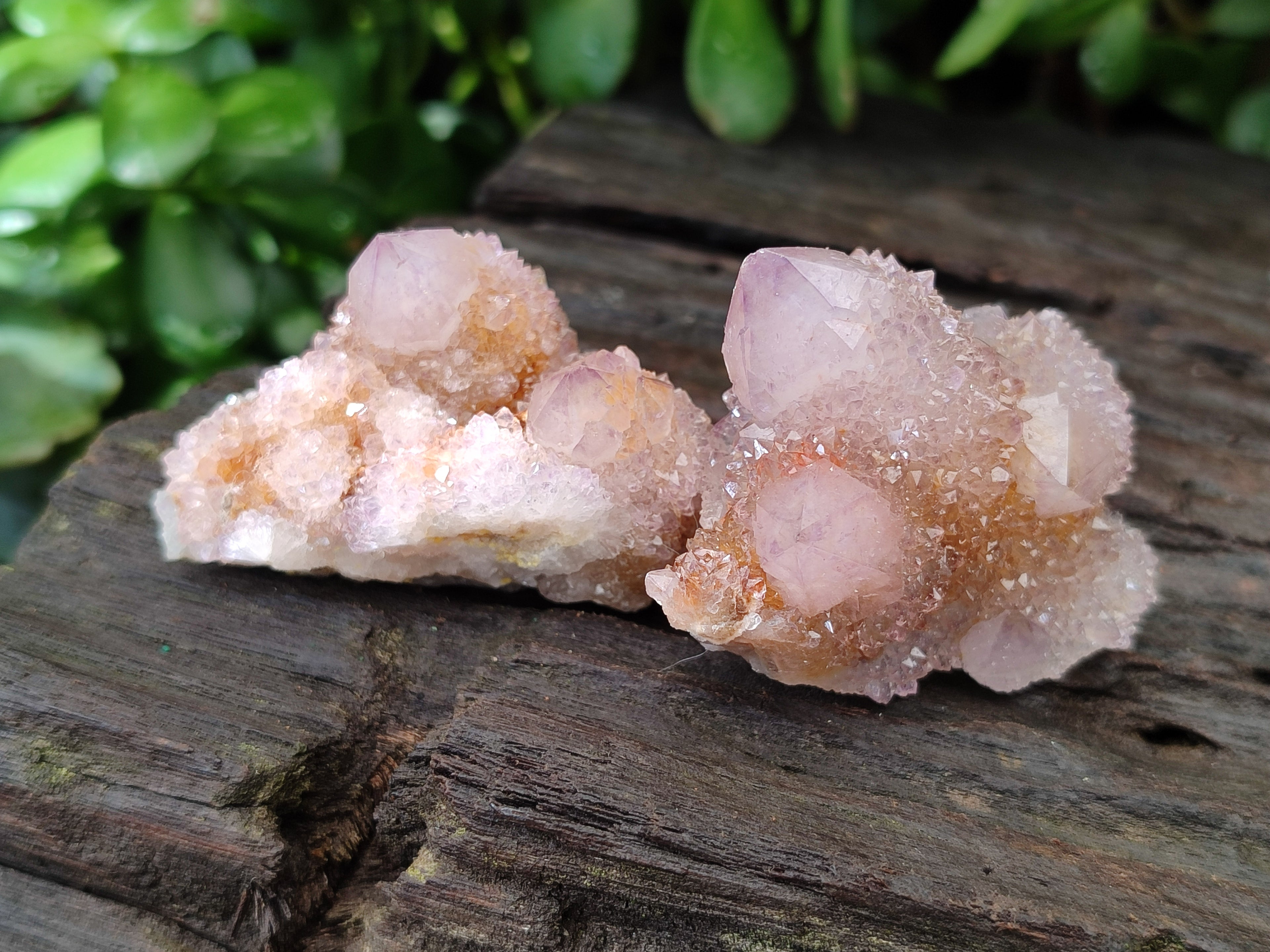 Natural Ametrine Spirit Quartz Crystals x 35 From Boekenhouthoek, South Africa - Toprock Gemstones and Minerals 