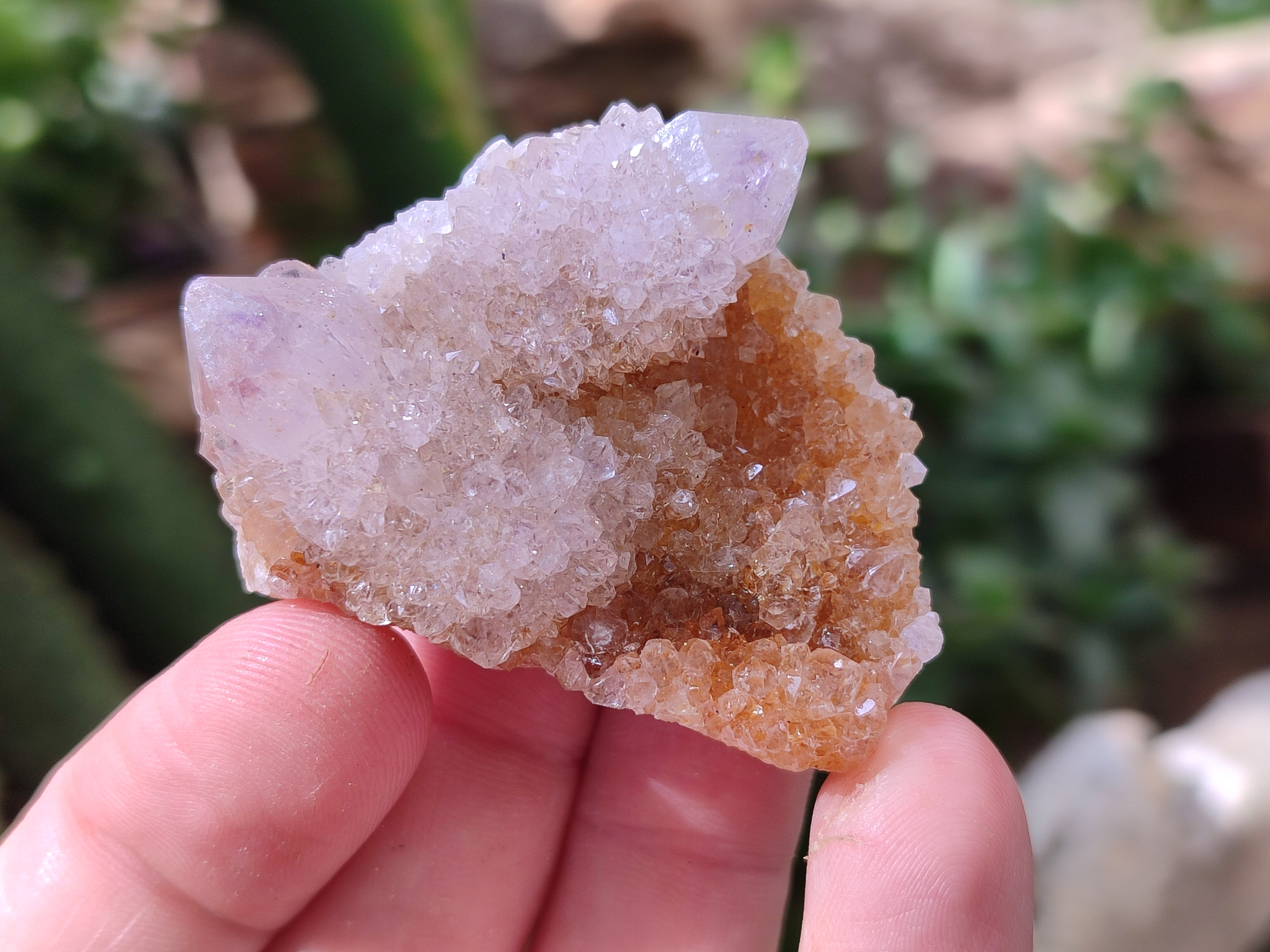 Natural Ametrine Spirit Quartz Crystals x 35 From Boekenhouthoek, South Africa - Toprock Gemstones and Minerals 