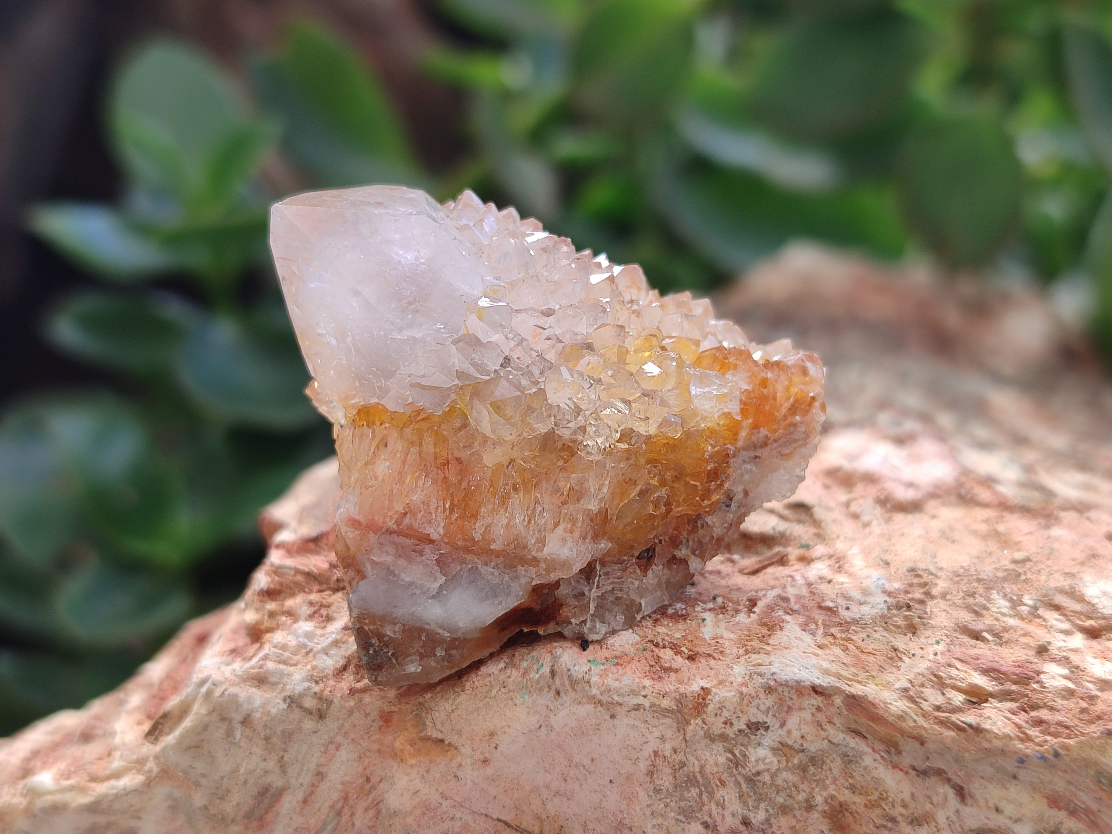 Natural Ametrine Spirit Quartz Crystals x 35 From Boekenhouthoek, South Africa - Toprock Gemstones and Minerals 