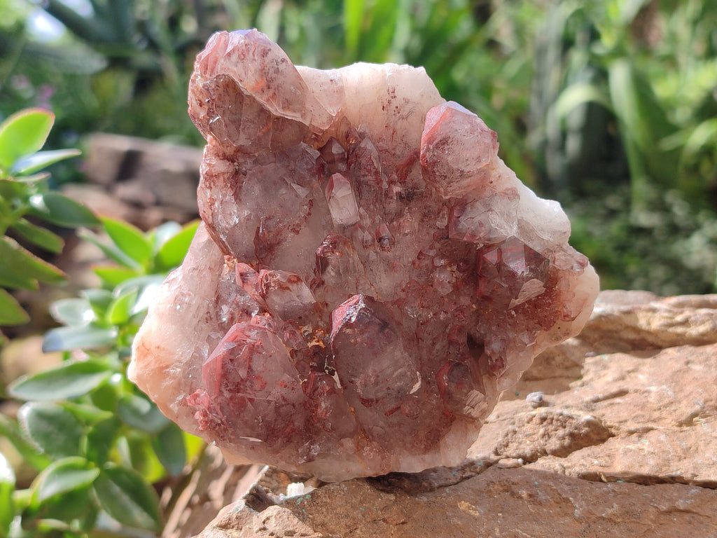 Natural Hematoid Quartz Clusters x 3 From Karoi, Zimbabwe - Toprock Gemstones and Minerals 