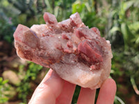 Natural Hematoid Quartz Clusters x 3 From Karoi, Zimbabwe - Toprock Gemstones and Minerals 