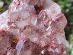 Natural Hematoid Quartz Clusters x 3 From Karoi, Zimbabwe - Toprock Gemstones and Minerals 