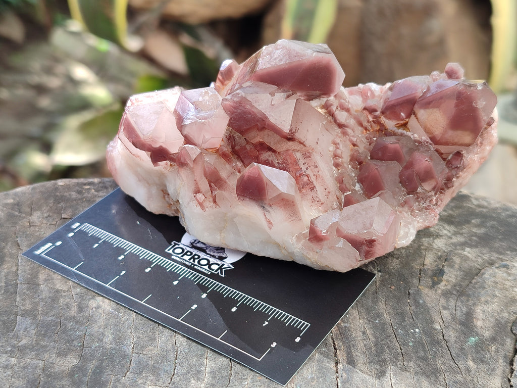 Natural Hematoid Quartz Clusters x 3 From Karoi, Zimbabwe - Toprock Gemstones and Minerals 